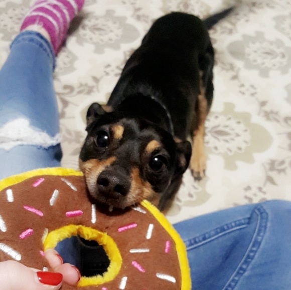 Meet your Posher, Madeline - Picture 2 of 4